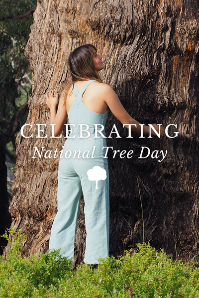 Celebrating National Tree Day